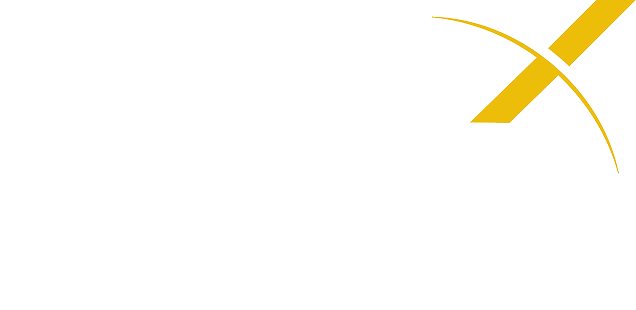 xipere inxights logo