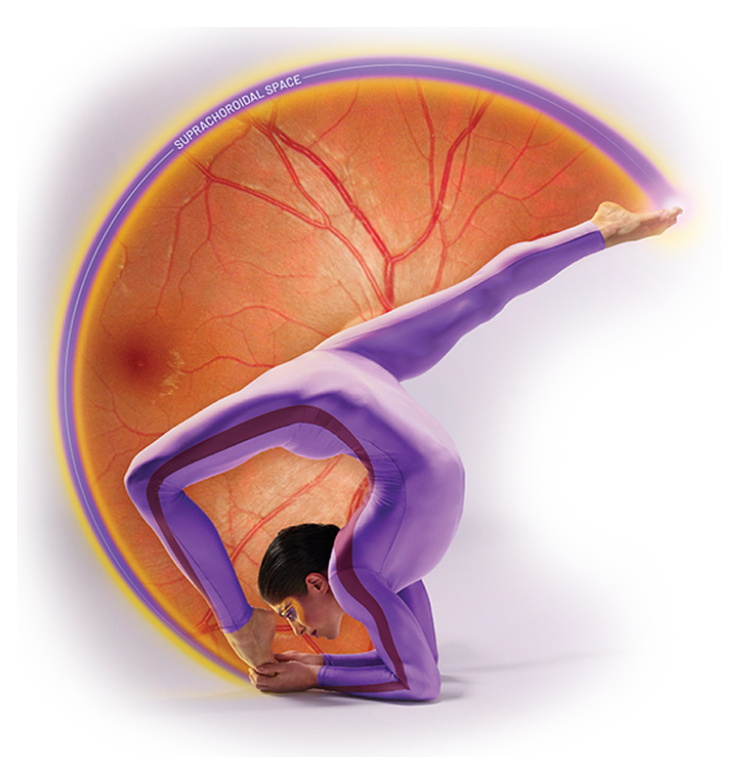 A talented contortionist is bent backward with her forearms on the floor. She is sweeping her leg over her head. The movement forms a partial circle, and an image of the back of an eye takes up the space. The circle glows around the edge.